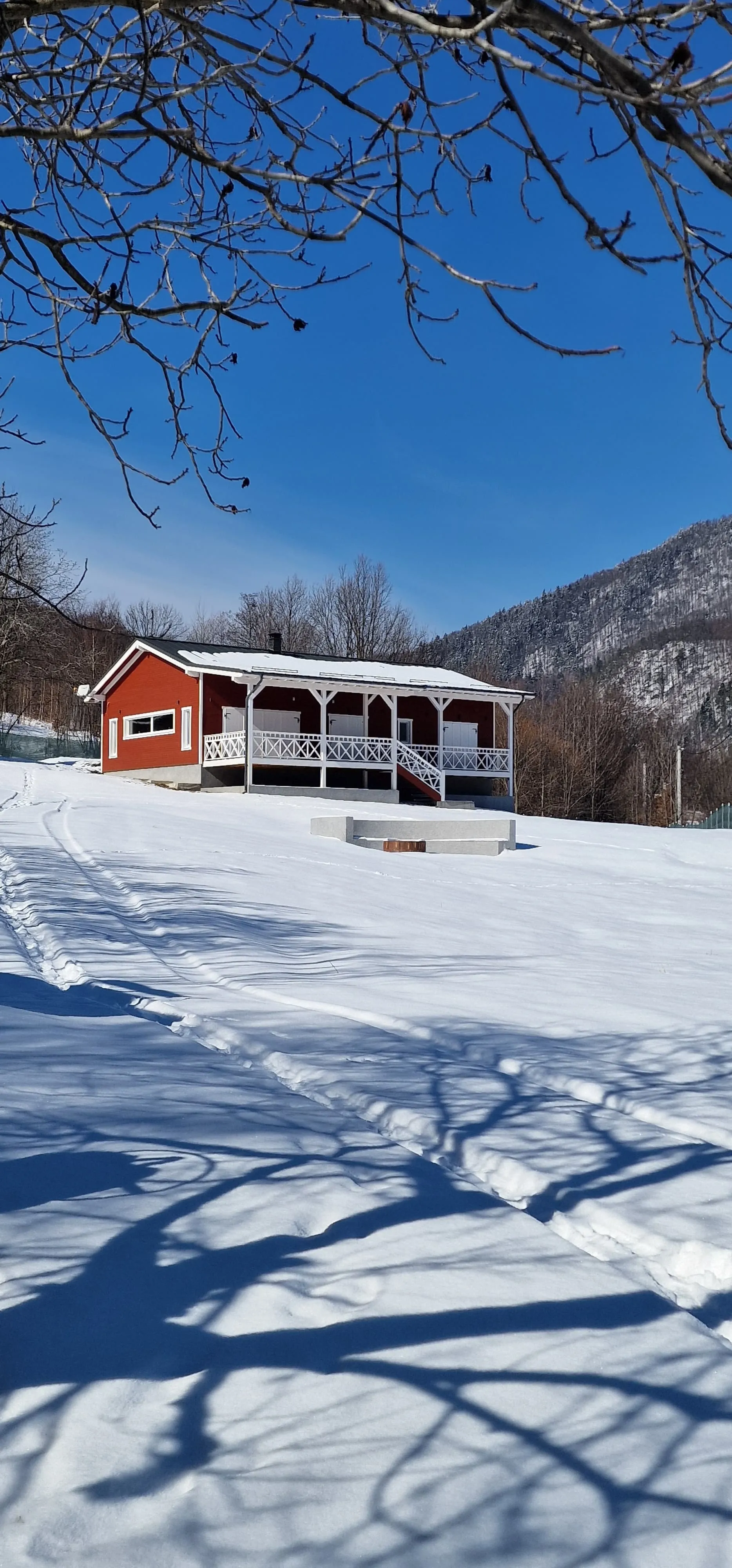 Proiect Scandic Lodge | România